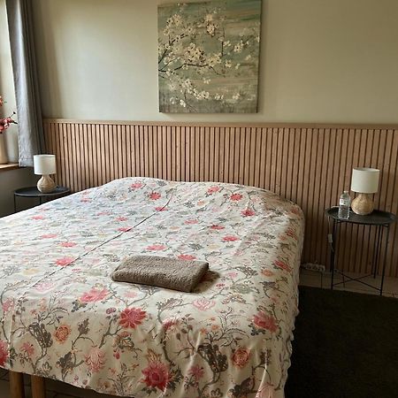 Au Coeur Des Collines, Charmette Villa Ellezelles Exteriör bild