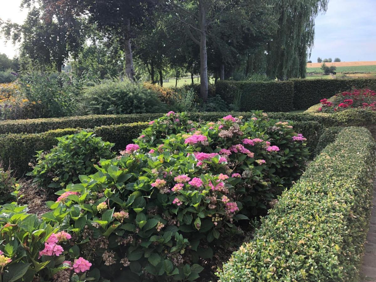 Au Coeur Des Collines, Charmette Villa Ellezelles Exteriör bild
