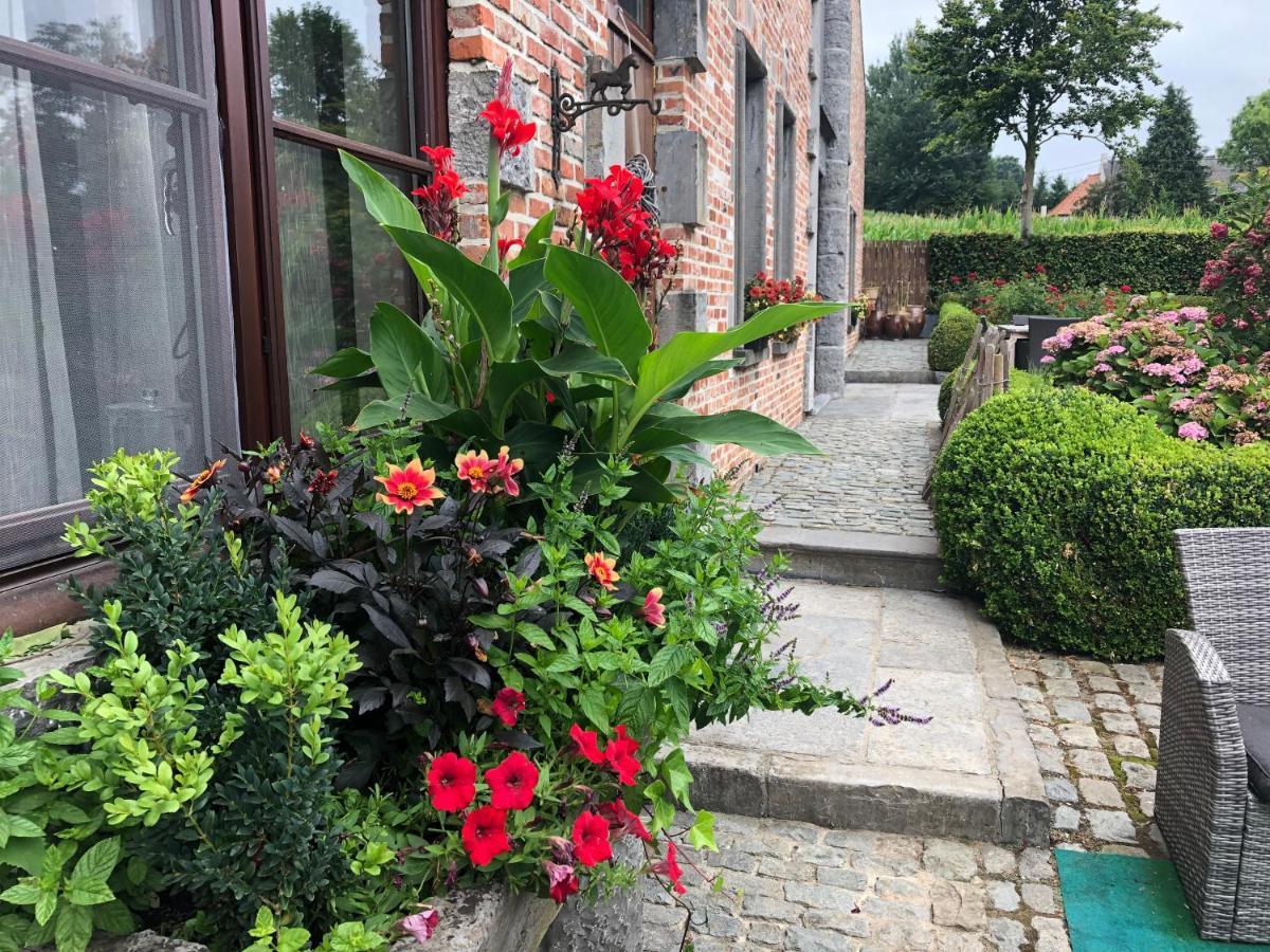 Au Coeur Des Collines, Charmette Villa Ellezelles Exteriör bild